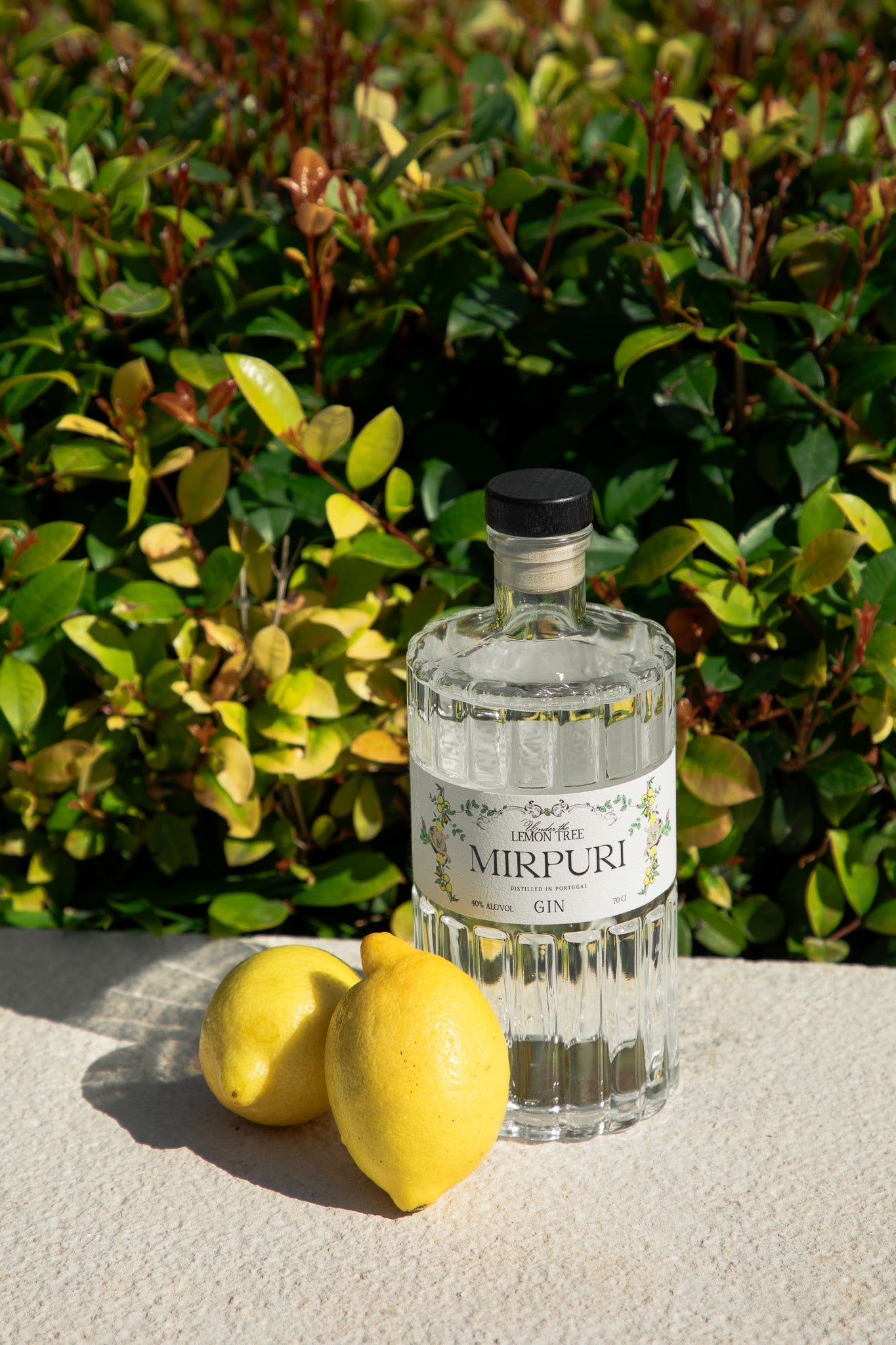 Under the Lemon Tree